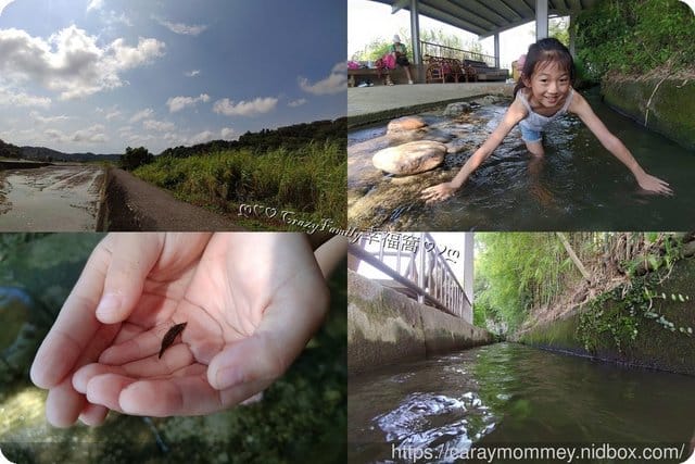 擁抱田野大自然苗栗客家庄■□和風民宿&和風食堂□■道地家常客家菜 - 第28張圖 擁抱田野大自然苗栗客家庄■□和風民宿&和風食堂□■道地家常客家菜