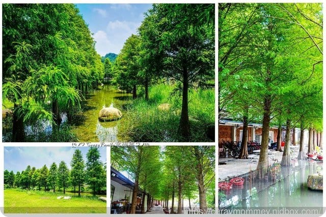 擁抱田野大自然苗栗客家庄■□和風民宿&和風食堂□■道地家常客家菜 - 第6張圖 擁抱田野大自然苗栗客家庄■□和風民宿&和風食堂□■道地家常客家菜