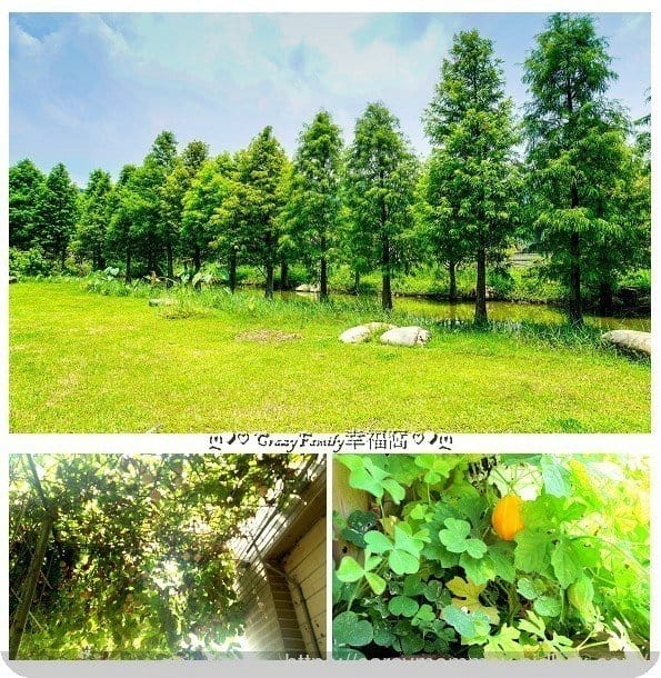 擁抱田野大自然苗栗客家庄■□和風民宿&和風食堂□■道地家常客家菜 - 第23張圖 擁抱田野大自然苗栗客家庄■□和風民宿&和風食堂□■道地家常客家菜