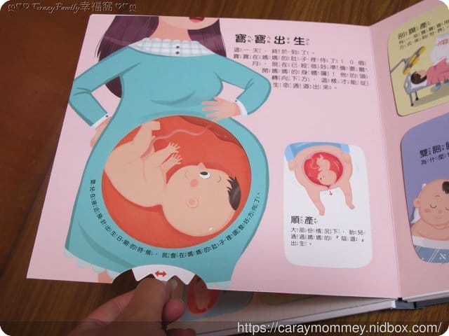 ✿好書分享✿性教育啟蒙書∮身體的秘密立體遊戲書 - 第7張圖 ✿好書分享✿性教育啟蒙書∮身體的秘密立體遊戲書