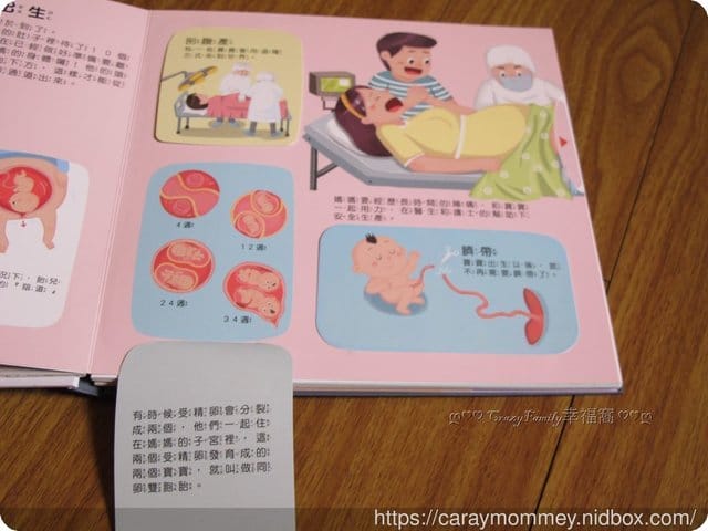 ✿好書分享✿性教育啟蒙書∮身體的秘密立體遊戲書 - 第9張圖 ✿好書分享✿性教育啟蒙書∮身體的秘密立體遊戲書