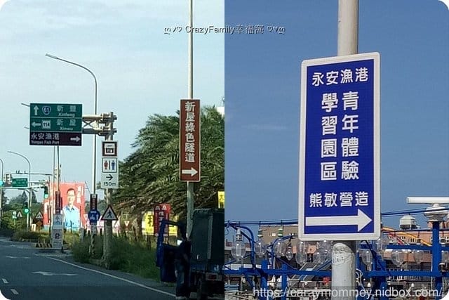 親子探索、寓教娛樂，超好玩高低空設施~北台灣最多探險去處☆TYCA桃園青年體驗學習園區