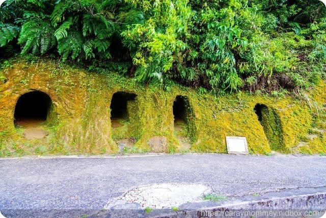 新北深度旅遊★平溪玩很大★