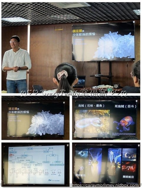 ├ 媽寶學知趣 ┤軟絲竹叢產房工作假期體驗 - 第5張圖 ├ 媽寶學知趣 ┤軟絲竹叢產房工作假期體驗