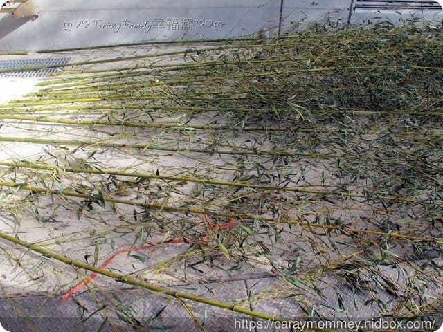 ├ 媽寶學知趣 ┤軟絲竹叢產房工作假期體驗 - 第11張圖 ├ 媽寶學知趣 ┤軟絲竹叢產房工作假期體驗