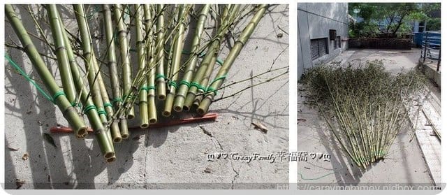 ├ 媽寶學知趣 ┤軟絲竹叢產房工作假期體驗 - 第14張圖 ├ 媽寶學知趣 ┤軟絲竹叢產房工作假期體驗