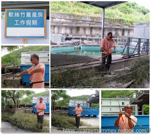├ 媽寶學知趣 ┤軟絲竹叢產房工作假期體驗 - 第8張圖 ├ 媽寶學知趣 ┤軟絲竹叢產房工作假期體驗