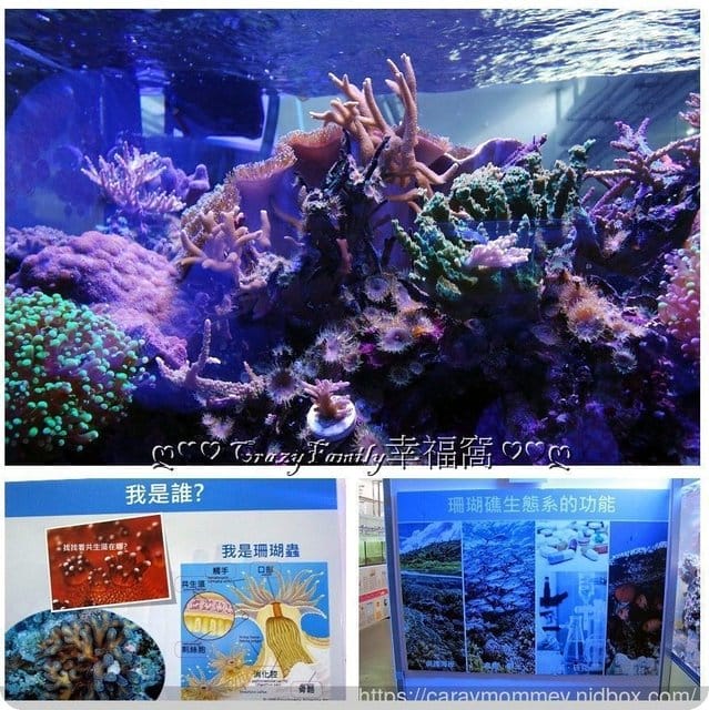 ├ 媽寶學知趣 ┤軟絲竹叢產房工作假期體驗 - 第18張圖 ├ 媽寶學知趣 ┤軟絲竹叢產房工作假期體驗
