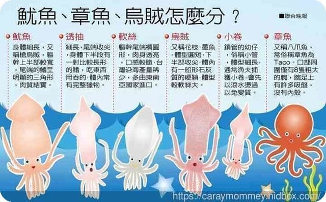 ├ 媽寶學知趣 ┤軟絲竹叢產房工作假期體驗