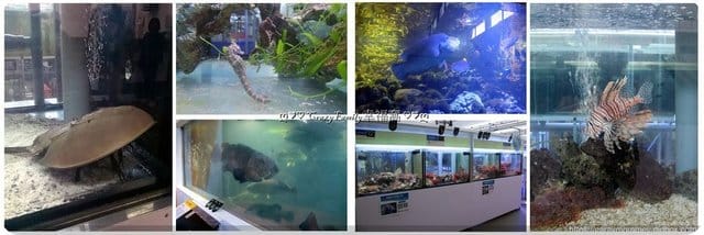 ├ 媽寶學知趣 ┤軟絲竹叢產房工作假期體驗 - 第21張圖 ├ 媽寶學知趣 ┤軟絲竹叢產房工作假期體驗
