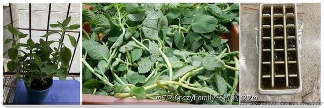 Mommy初試∮玩手工皂 - 第2張圖 Mommy初試∮玩手工皂