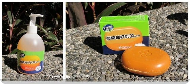 號召全民勤洗手運動