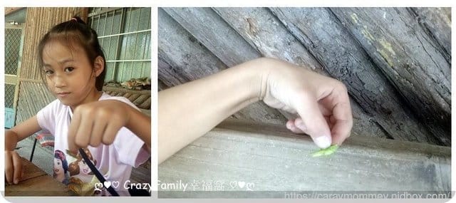 度假樂趣事
