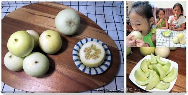 森森親子農場用心栽培溫室栽種鬆軟可口的東方甜瓜(美濃香瓜)
