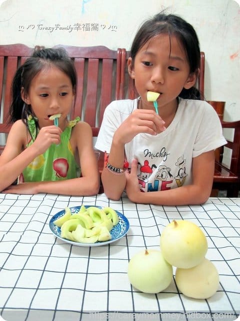 森森親子農場用心栽培溫室栽種鬆軟可口的東方甜瓜(美濃香瓜)