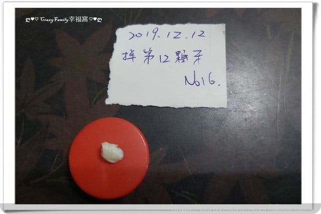 Xenia 的乳牙記錄：右下, 犬齒