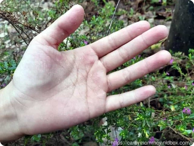 打造健康兒童體質平衡¢Proentry霈恩萃優護補給錠 - 第6張圖 打造健康兒童體質平衡¢Proentry霈恩萃優護補給錠