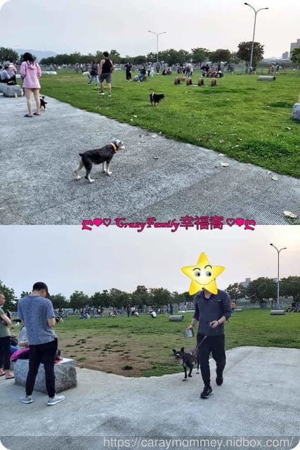 ├ 媽寶兜風趣┤ 租借單車放風去 - 第7張圖 ├ 媽寶兜風趣┤ 租借單車放風去