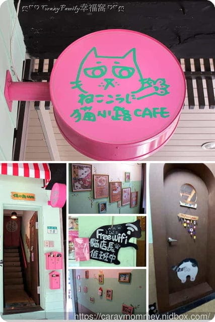 放鬆又療癒的貓小路CAFE二號店,充滿童趣又開心的環境 - 第2張圖 放鬆又療癒的貓小路CAFE二號店,充滿童趣又開心的環境