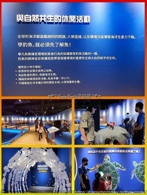 ღ♡ 觀光工廠 ♡ღ 全台唯一釣魚主題園區【台中潭子】寶熊漁樂碼頭，必玩全球首創巨無霸釣魚機