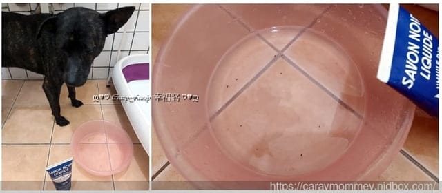 家事好幫手,熱銷一世紀的∮法鉑橄欖油黑肥皂 - 第12張圖 家事好幫手,熱銷一世紀的∮法鉑橄欖油黑肥皂