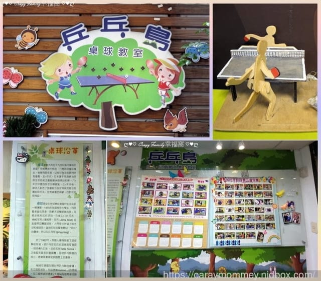 專業的『乒乓島桌球教室』是台北學桌球的好選擇 - 第2張圖 專業的『乒乓島桌球教室』是台北學桌球的好選擇