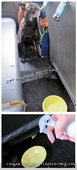 天然酵素噴霧★璞之味消臭植物酵素噴霧★不用再被濃厚香精包覆，天然除臭效果立彰