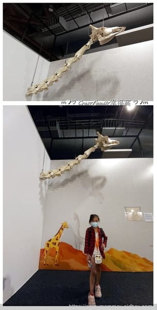 故宮文物藝術中的科學與科技∞繪製世界∞故宮x海科聯合特展