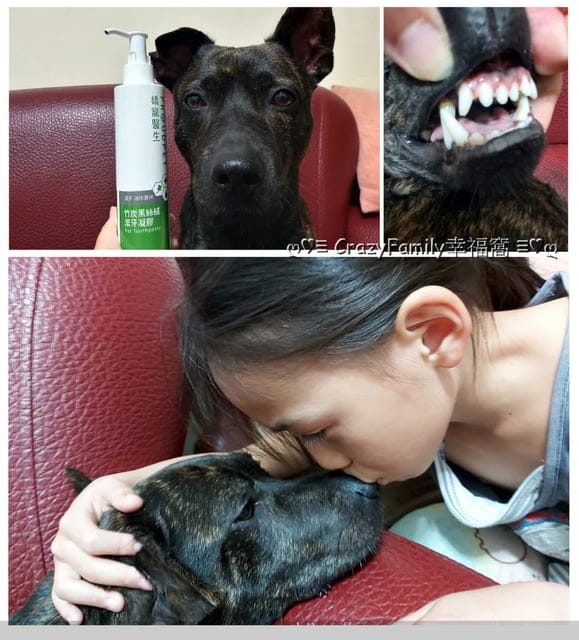 獸醫師以預防醫學為出發點的專業品牌 ☆ 嬌寵醫生 ☆ 寵愛自己的愛寵 - 第6張圖 獸醫師以預防醫學為出發點的專業品牌 ☆ 嬌寵醫生 ☆ 寵愛自己的愛寵