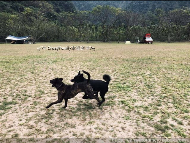 獸醫師以預防醫學為出發點的專業品牌 ☆ 嬌寵醫生 ☆ 寵愛自己的愛寵 - 第8張圖 獸醫師以預防醫學為出發點的專業品牌 ☆ 嬌寵醫生 ☆ 寵愛自己的愛寵