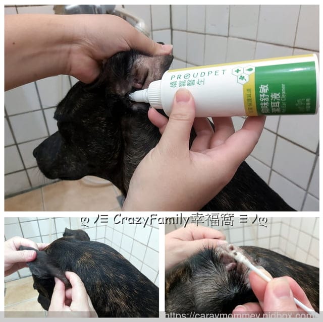 獸醫師以預防醫學為出發點的專業品牌 ☆ 嬌寵醫生 ☆ 寵愛自己的愛寵 - 第11張圖 獸醫師以預防醫學為出發點的專業品牌 ☆ 嬌寵醫生 ☆ 寵愛自己的愛寵