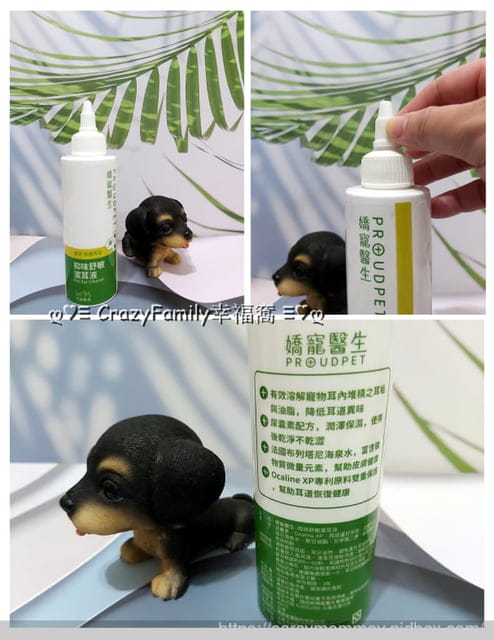 獸醫師以預防醫學為出發點的專業品牌 ☆ 嬌寵醫生 ☆ 寵愛自己的愛寵 - 第10張圖 獸醫師以預防醫學為出發點的專業品牌 ☆ 嬌寵醫生 ☆ 寵愛自己的愛寵