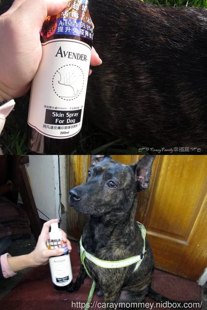 為毛寶貝打造防護∞AVENDER阿凡達∞蓬鬆洗毛精+皮膚抑菌護理噴劑
