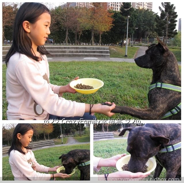 比穀物更有營養的Farmina法米納天然藜麥無穀機能犬用飼料 - 第7張圖 比穀物更有營養的Farmina法米納天然藜麥無穀機能犬用飼料