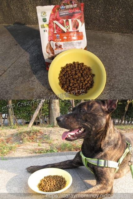 比穀物更有營養的Farmina法米納天然藜麥無穀機能犬用飼料 - 第11張圖 比穀物更有營養的Farmina法米納天然藜麥無穀機能犬用飼料