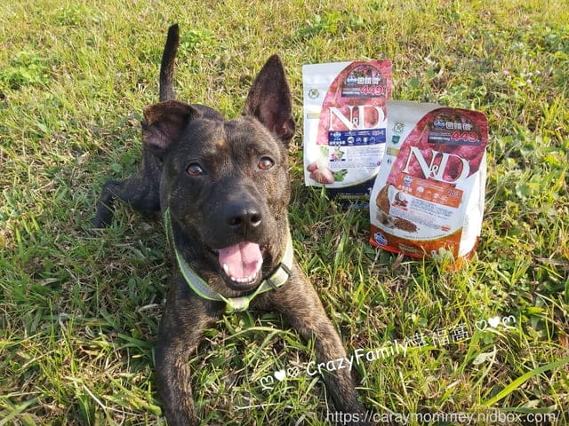 比穀物更有營養的Farmina法米納天然藜麥無穀機能犬用飼料 - 第15張圖 比穀物更有營養的Farmina法米納天然藜麥無穀機能犬用飼料
