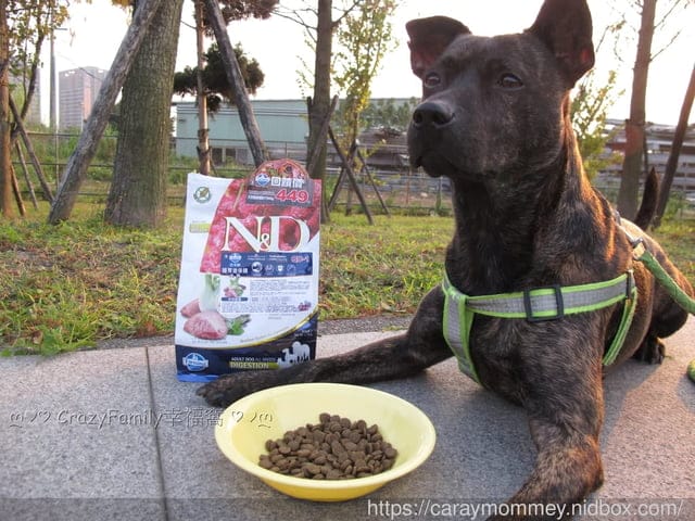比穀物更有營養的Farmina法米納天然藜麥無穀機能犬用飼料 - 第8張圖 比穀物更有營養的Farmina法米納天然藜麥無穀機能犬用飼料