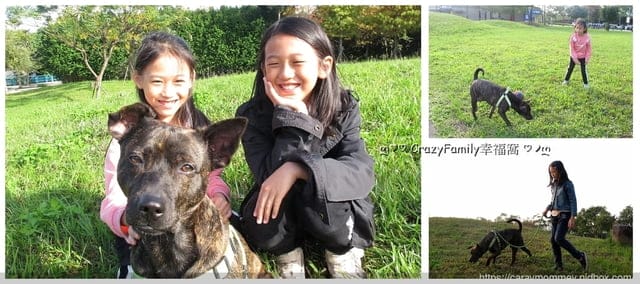比穀物更有營養的Farmina法米納天然藜麥無穀機能犬用飼料 - 第3張圖 比穀物更有營養的Farmina法米納天然藜麥無穀機能犬用飼料