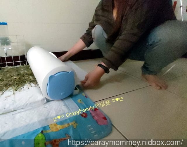 讓清理寵物排泄事半功倍的POOPOUT 三秒清潔寵物便盆