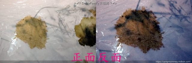 讓清理寵物排泄事半功倍的POOPOUT 三秒清潔寵物便盆