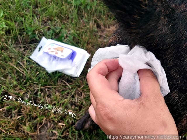臭臭耳掰掰,愛毛孩就要用【臭味滾】無香低敏日常潔耳液,搭配除臭抑菌濕紙巾更easy - 第12張圖 臭臭耳掰掰,愛毛孩就要用【臭味滾】無香低敏日常潔耳液,搭配除臭抑菌濕紙巾更easy