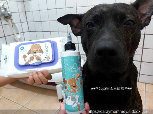 臭臭耳掰掰,愛毛孩就要用【臭味滾】無香低敏日常潔耳液,搭配除臭抑菌濕紙巾更easy - 第7張圖 臭臭耳掰掰,愛毛孩就要用【臭味滾】無香低敏日常潔耳液,搭配除臭抑菌濕紙巾更easy