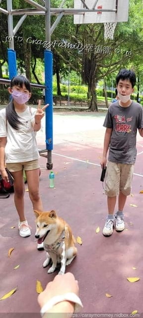 心打籃球