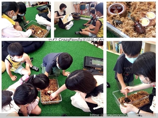 ♡ 親子餐廳饗樂趣 ♡ 【士林芝山】具有教育涵養、友善環境、美味餐點の甲蟲秘境 親子餐廳
