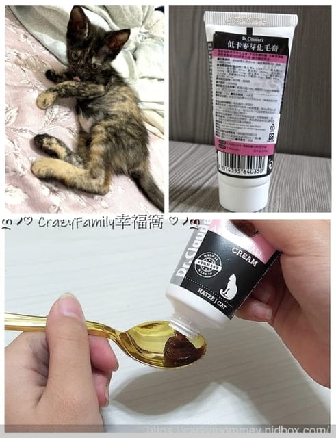 訓練貓主子獎勵零食就推薦Jinny吉妮貓小點/嚴選高品質雞肉,健康獎勵一次達成 - 第15張圖 訓練貓主子獎勵零食就推薦Jinny吉妮貓小點/嚴選高品質雞肉,健康獎勵一次達成