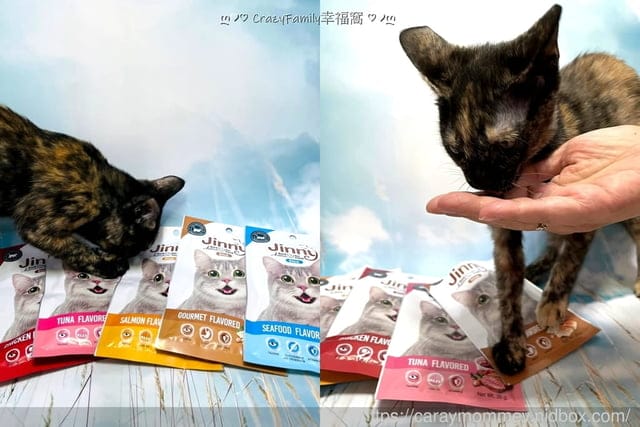 訓練貓主子獎勵零食就推薦Jinny吉妮貓小點/嚴選高品質雞肉,健康獎勵一次達成 - 第5張圖 訓練貓主子獎勵零食就推薦Jinny吉妮貓小點/嚴選高品質雞肉,健康獎勵一次達成