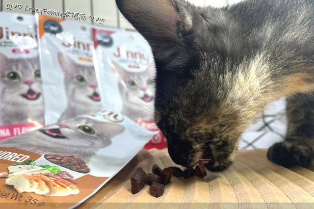 訓練貓主子獎勵零食就推薦Jinny吉妮貓小點/嚴選高品質雞肉,健康獎勵一次達成 - 第11張圖 訓練貓主子獎勵零食就推薦Jinny吉妮貓小點/嚴選高品質雞肉,健康獎勵一次達成