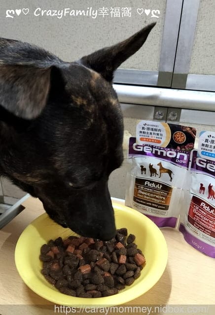 寵物食品分享¢品果國際行銷Gemon義大利啟蒙低敏配方寵物飼料開箱 - 第12張圖 品果國際評價/義大利啟蒙飼料評價/低敏配方寵物飼料開箱/低敏配方寵物餐包開箱/啟蒙主食罐開箱/寵物餐包怎麼選/適口性好的主食罐/高適口性無穀貓(犬)飼料/高適口性無穀貓(狗)餐包