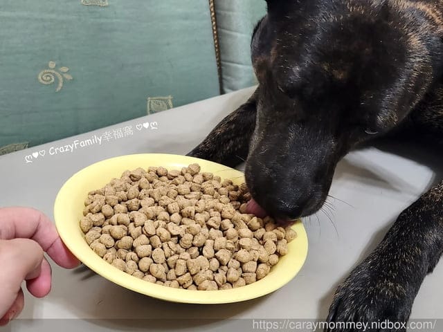 卡娜芙評價、卡娜芙狗飼料評價、加拿大飼料品牌推薦、加拿大寵物糧推薦、加拿大狗飼料推薦、發芽種子飼料、高適口性無穀狗飼料推薦、寵物無穀飼料推薦、無穀低敏飼料開箱、狗腸胃保健飼料分享、Carna4卡娜芙、加拿大寵物糧推薦、狗狗腸胃保健乾糧、卡娜芙品牌形象大使-成晞chance、新生代男神成晞、狗飼料推薦、發芽種子、加拿大Carna4卡娜芙‧狗狗-腸胃保健-易嚼鹿肉、加拿大天然飼料、無合成添加物、發芽種子的好處
