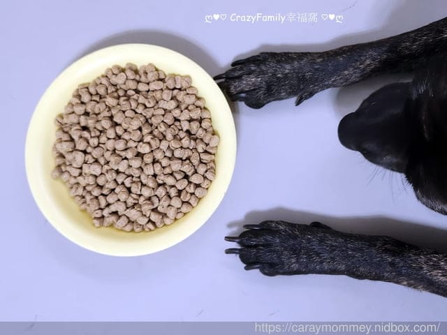 卡娜芙評價、卡娜芙狗飼料評價、加拿大飼料品牌推薦、加拿大寵物糧推薦、加拿大狗飼料推薦、發芽種子飼料、高適口性無穀狗飼料推薦、寵物無穀飼料推薦、無穀低敏飼料開箱、狗腸胃保健飼料分享、Carna4卡娜芙、加拿大寵物糧推薦、狗狗腸胃保健乾糧、卡娜芙品牌形象大使-成晞chance、新生代男神成晞、狗飼料推薦、發芽種子、加拿大Carna4卡娜芙‧狗狗-腸胃保健-易嚼鹿肉、加拿大天然飼料、無合成添加物、發芽種子的好處